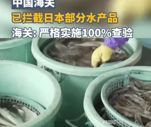 中國海關強化對日本水產品進口監管，日本媒體高度關注農產品安全議題