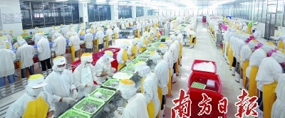 供給側結構性改革 驅動廣東漁業(yè)現(xiàn)代化與農產品升級的新引擎