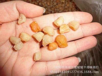 北海干貝瑤柱 一手貨源的漁民直達營養之選