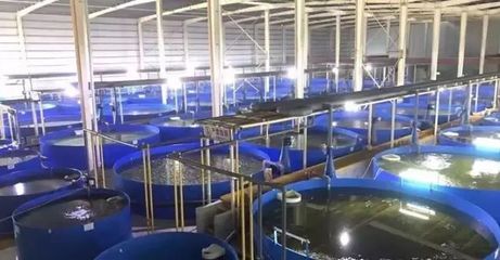 德清漁業養殖尾水治理成果顯著，再獲國家級專家關注